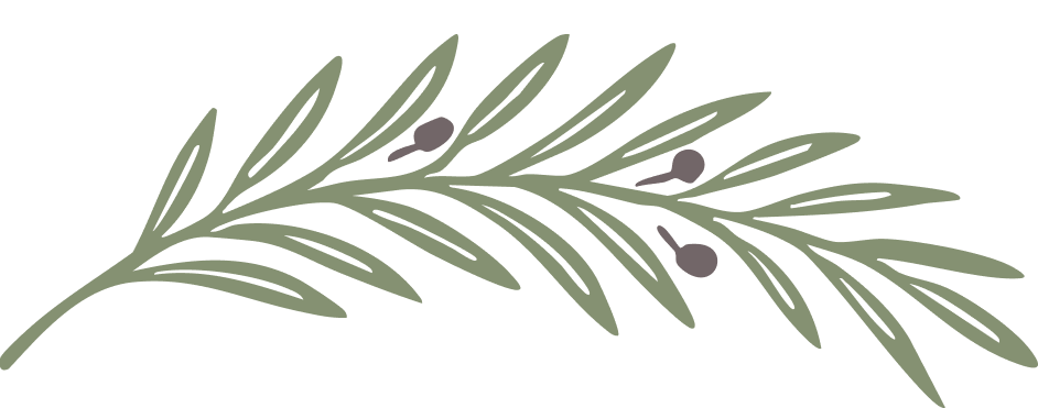 unnamed image